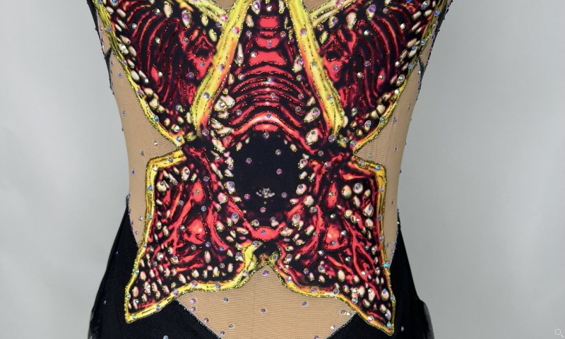 Atelier Colibri | no title