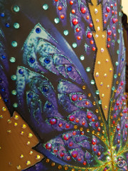 Atelier Colibri | no title