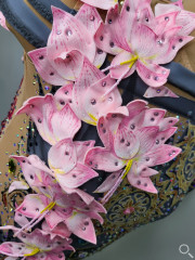 Atelier Colibri | Lotus valley