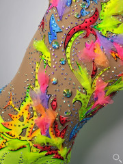 Atelier Colibri | Phoenix