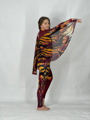 Atelier Colibri | Toruk Makto