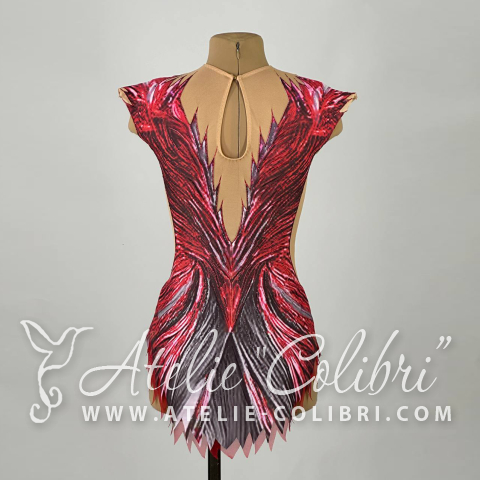 Купальники для Художественной Гимнастики | Ателье Колибри | ( S_K_0423_6 )