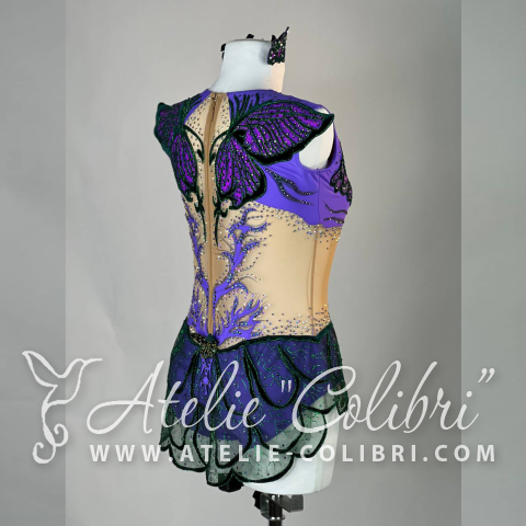 Купальники для Художественной Гимнастики | Ателье Колибри | ( S_K_0446_1 )