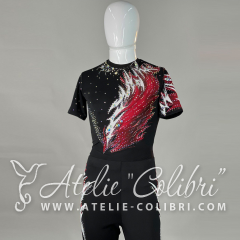 Leotards for Acrobatics | Atelier Colibri | ( SAk_R0474_2M )