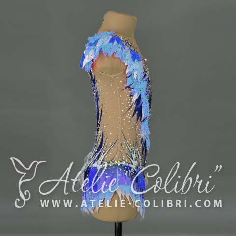Rhythmic Gymnastics Leotards | Atelier Colibri | ( R_0575_1 )