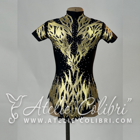 Leotards for Acrobatics | Atelier Colibri | ( SAk_R0597_1 )