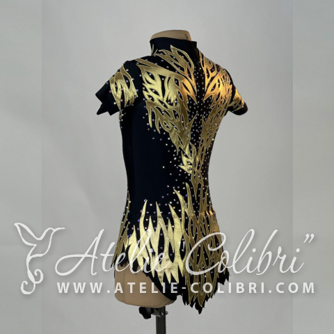 Leotards for Acrobatics | Atelier Colibri | ( SAk_R0597_1 )