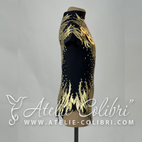 Leotards for Acrobatics | Atelier Colibri | ( SAk_R0597_1 )