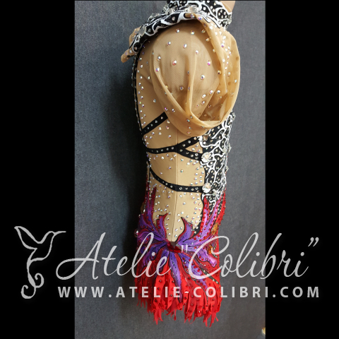 Leotards for Acrobatics | Atelier Colibri | ( SAk_R0195_1 )