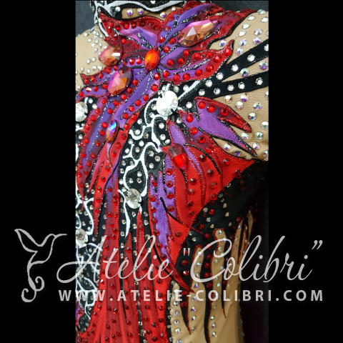 Leotards for Acrobatics | Atelier Colibri | ( SAk_R0195_1 )