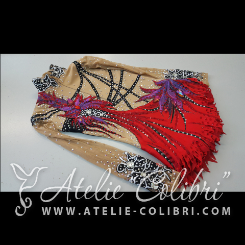 Leotards for Acrobatics | Atelier Colibri | ( SAk_R0195_1 )